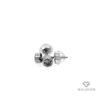 Baltā zelta auskari (18K) ar briljantiem 0.30ct